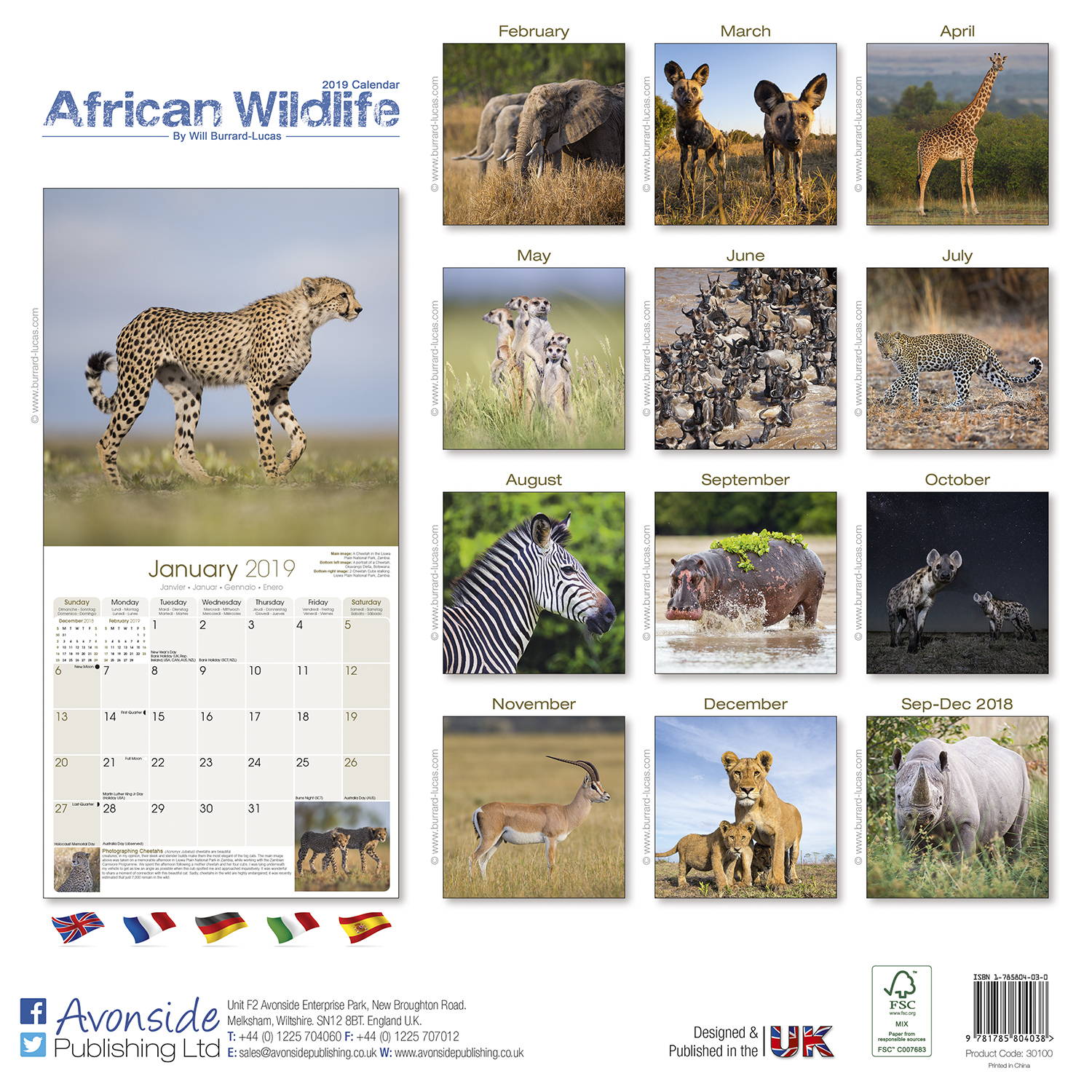 African Wildlife Calendar, Animal Calendars MegaCalendars