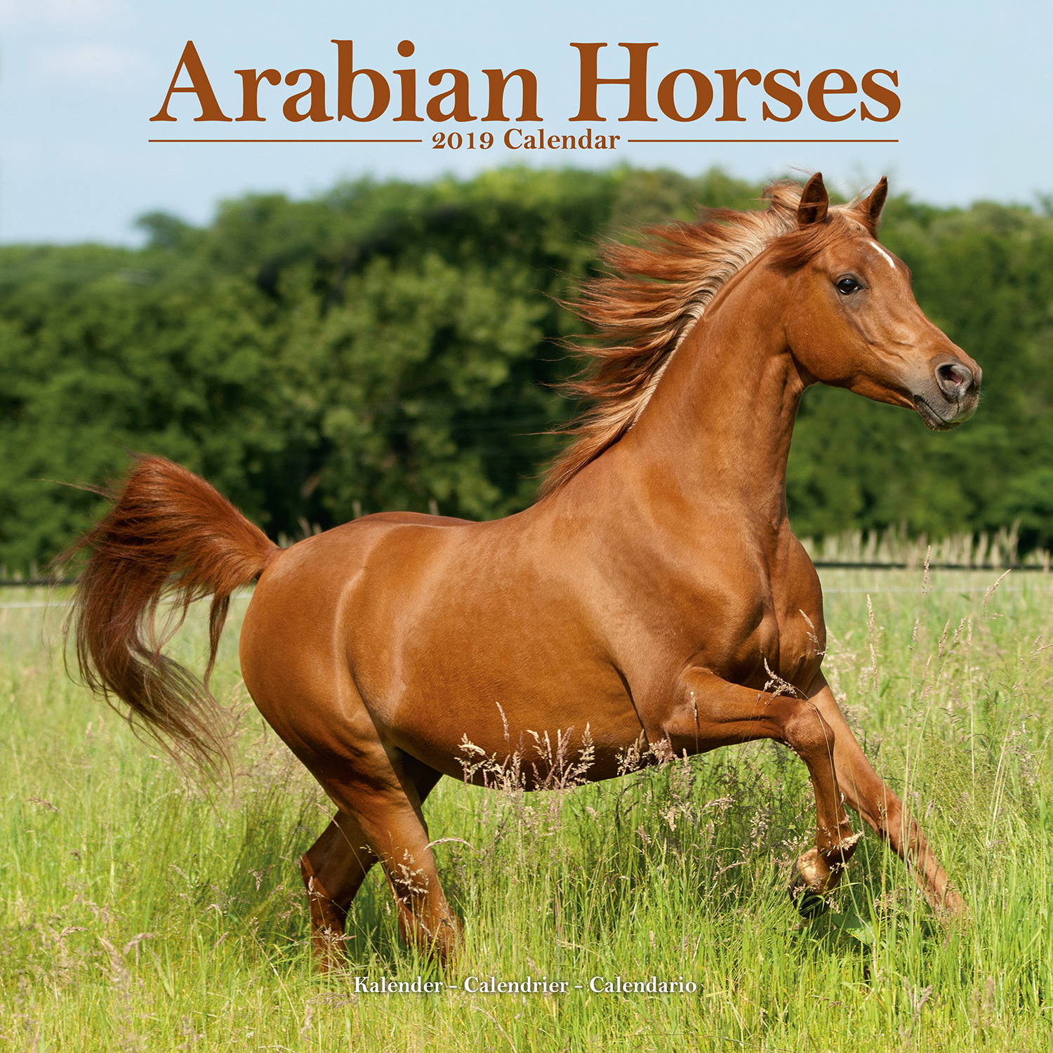 Arabian Horses Calendar, Animal Calendars MegaCalendars