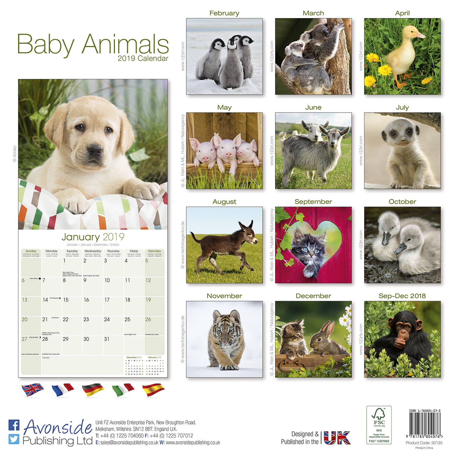 Baby Animals Calendar 2019 Pet Prints Inc.