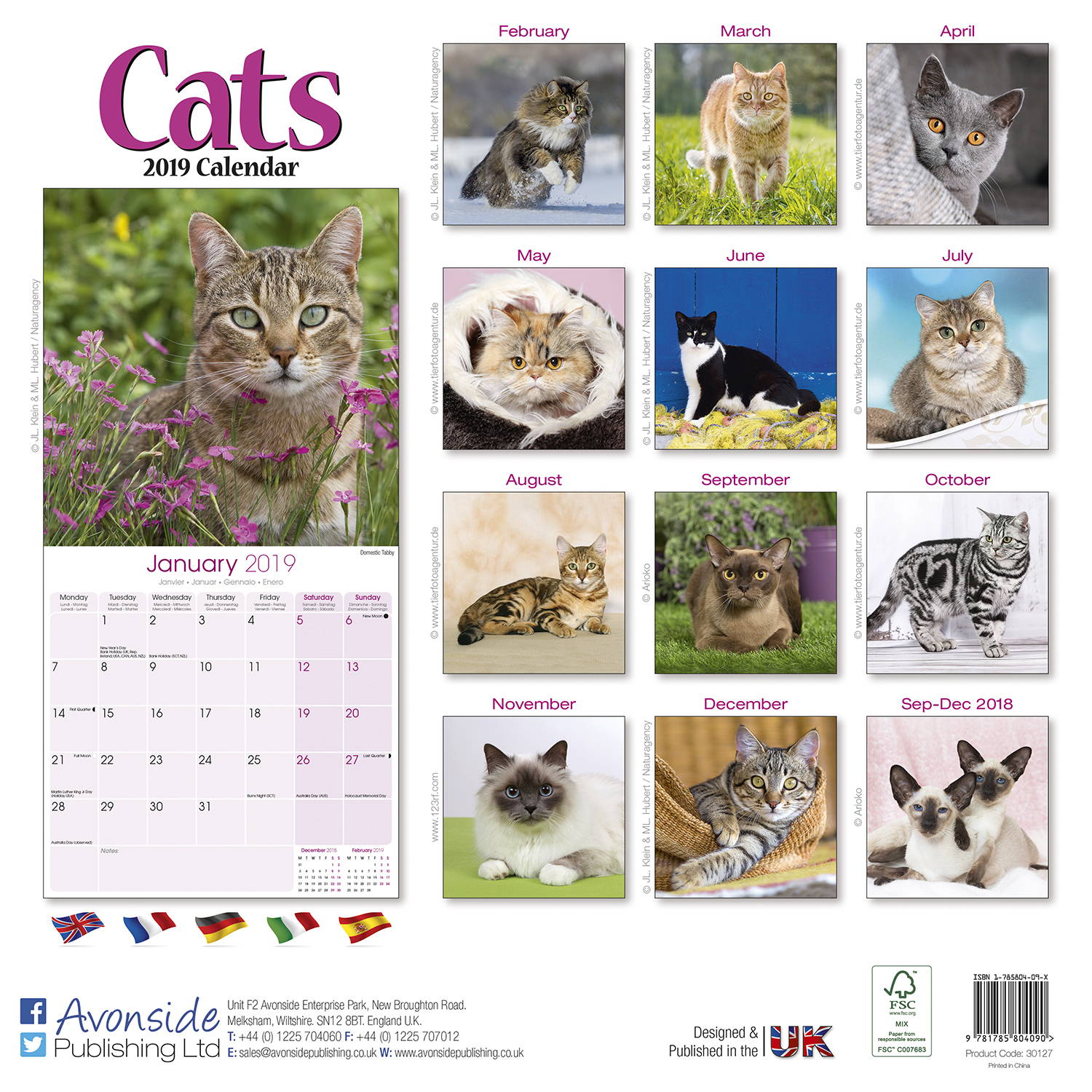 Cats Calendar, Cat Calendars MegaCalendars