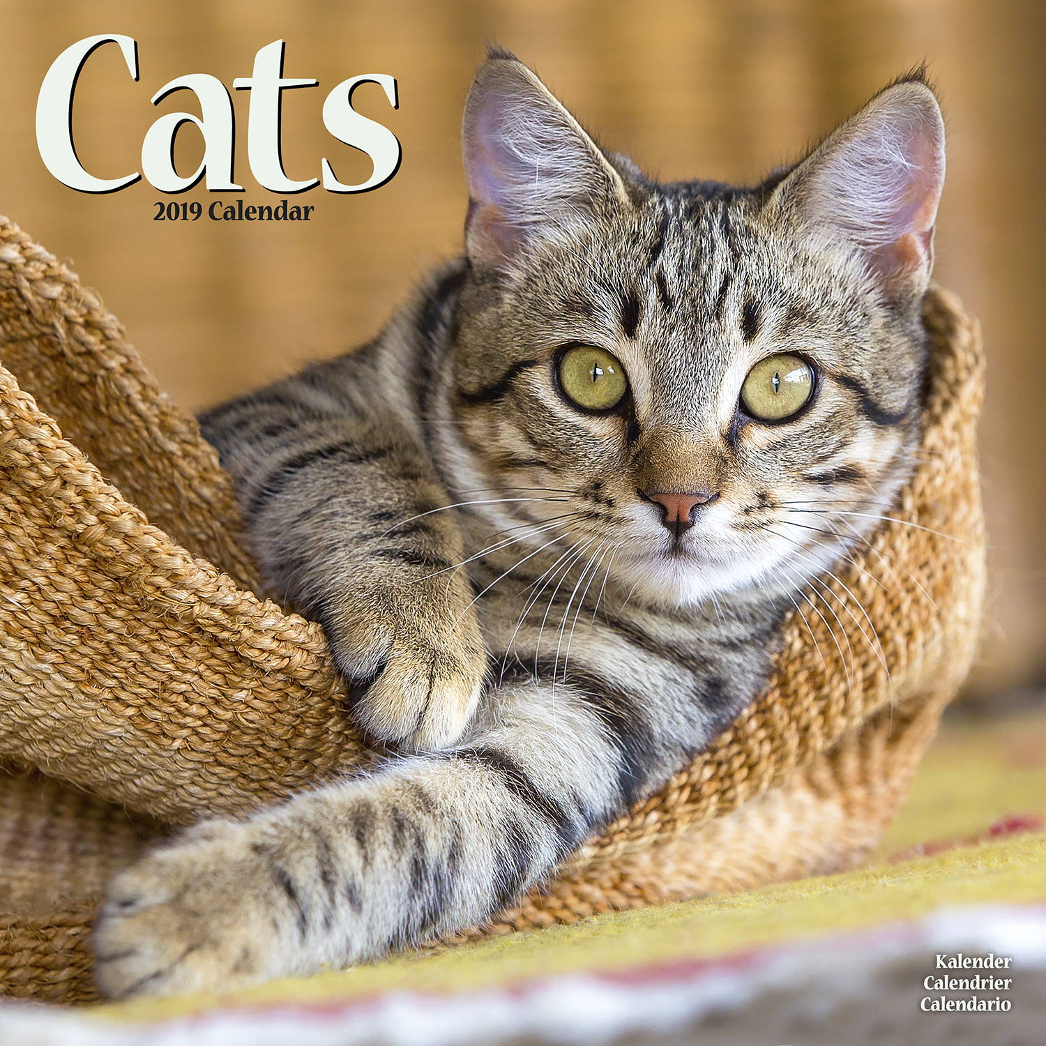 Cats Calendar 2019 Pet Prints Inc.