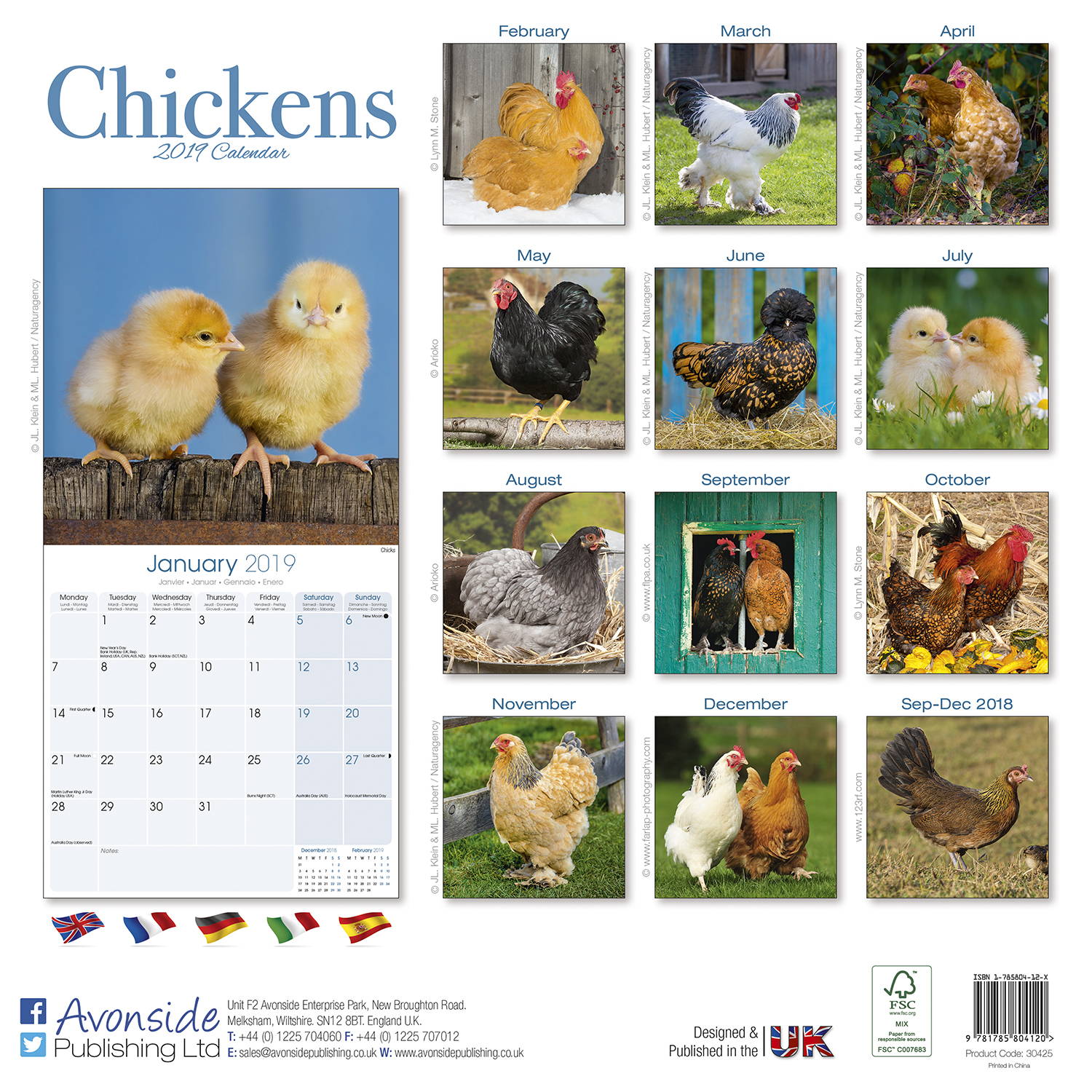 Chickens Calendar 2019 Pet Prints Inc.