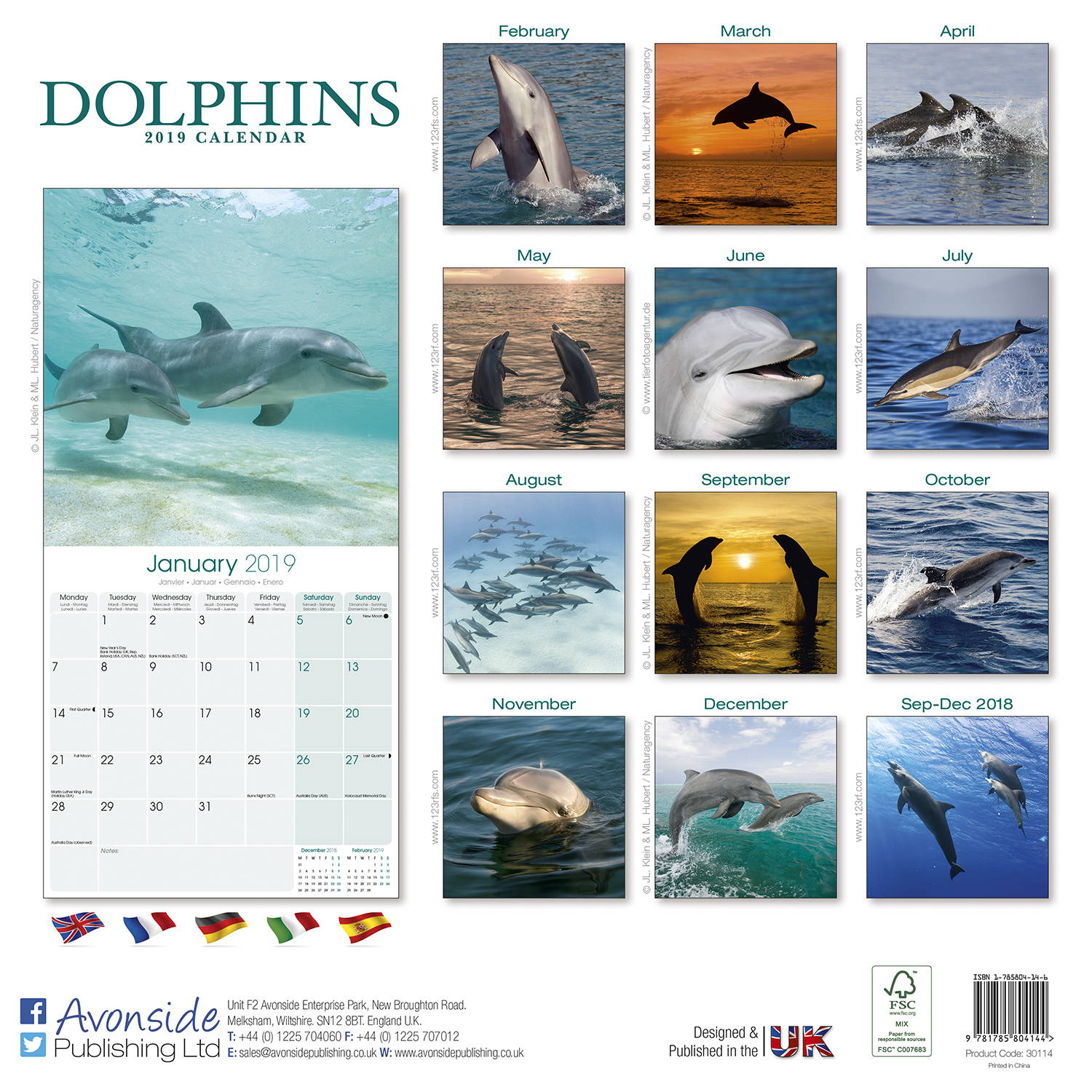 Dolphins Calendar, Animal Calendars MegaCalendars