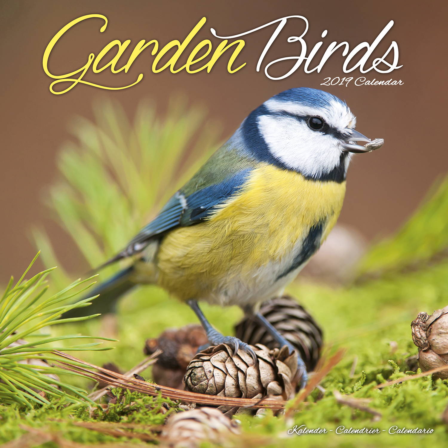 Garden Birds Calendar, Animal Calendars MegaCalendars