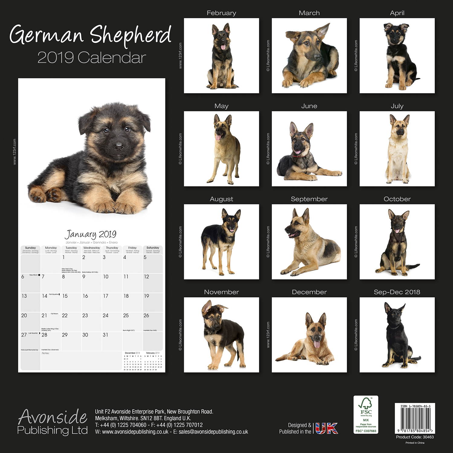 German Shepherds Studio Range Calendar, Dog Breed MegaCalendars