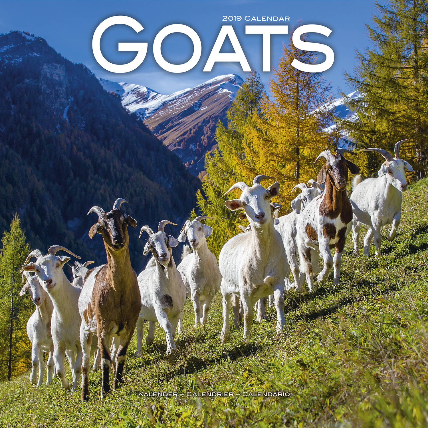 Goats Calendar, Animal Calendars MegaCalendars