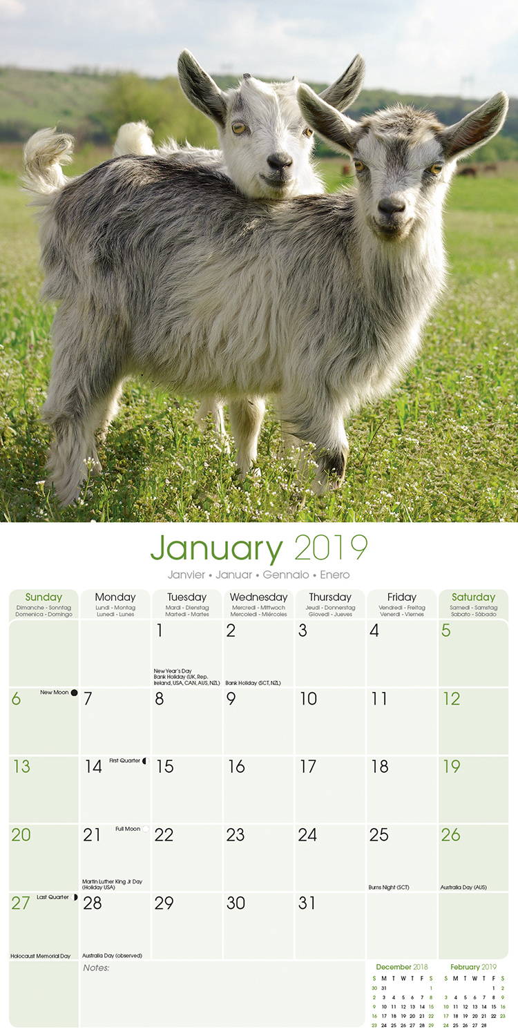 goats-calendar-animal-calendars-megacalendars