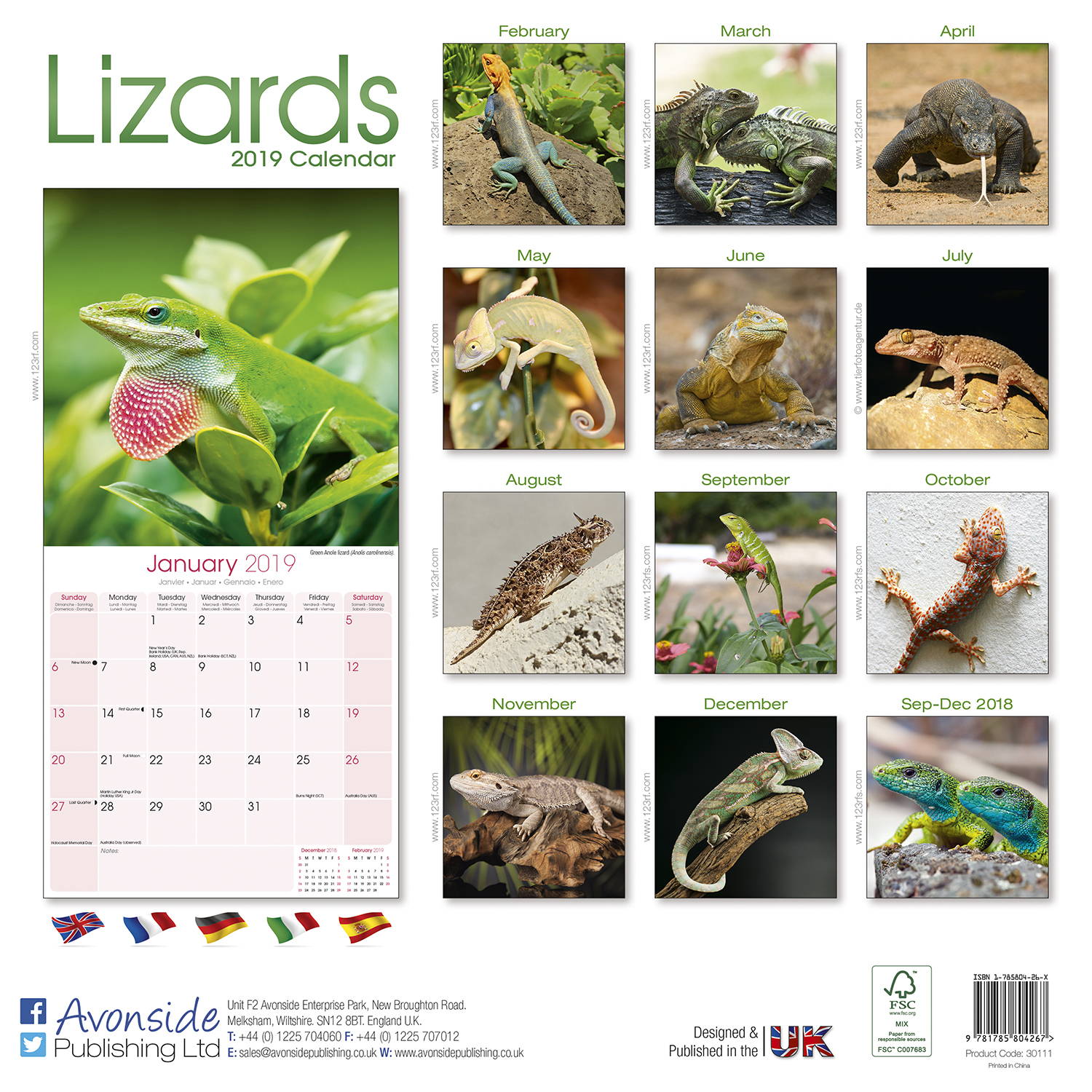 Lizards Calendar, Animal Calendars MegaCalendars
