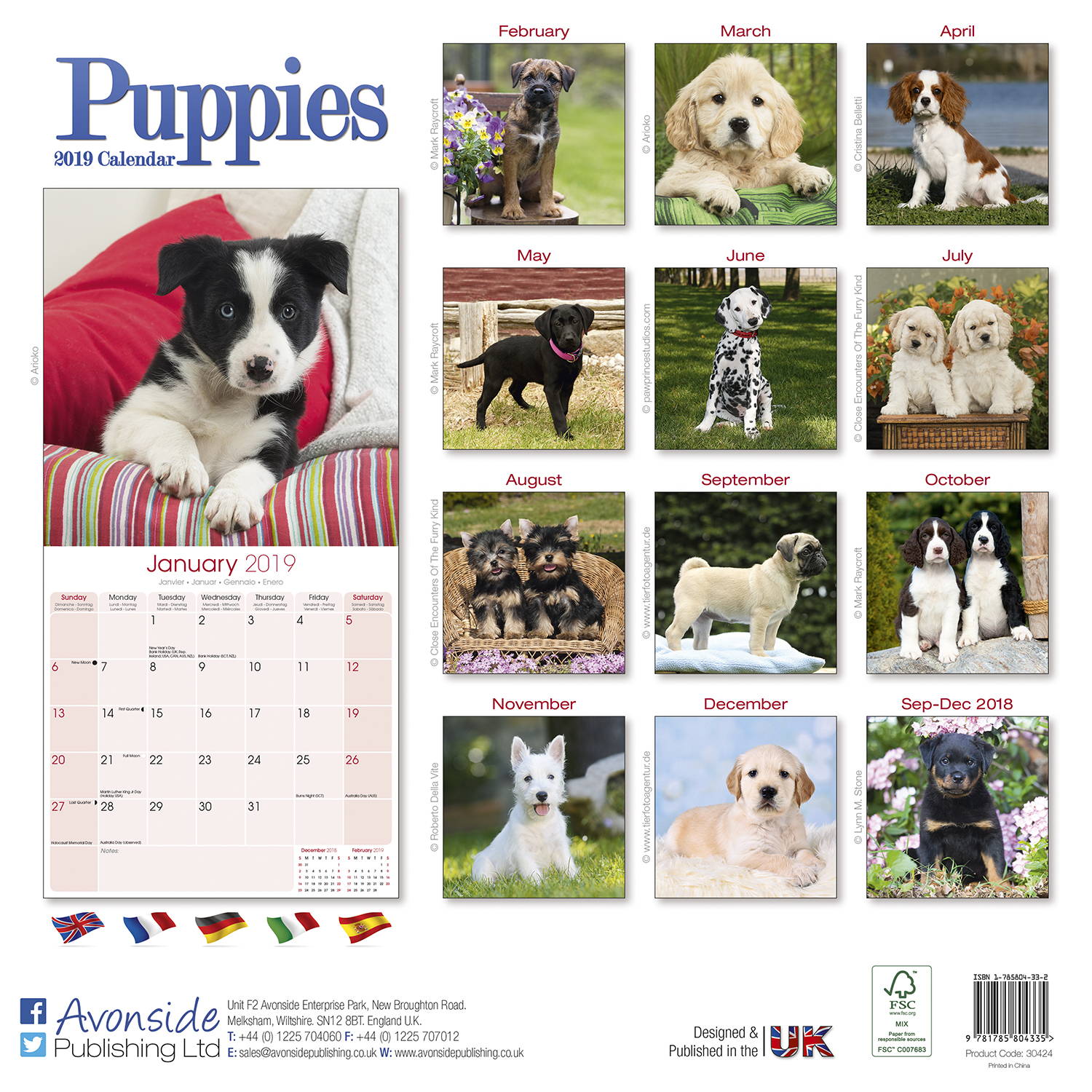 Puppies Calendar 2019 Pet Prints Inc