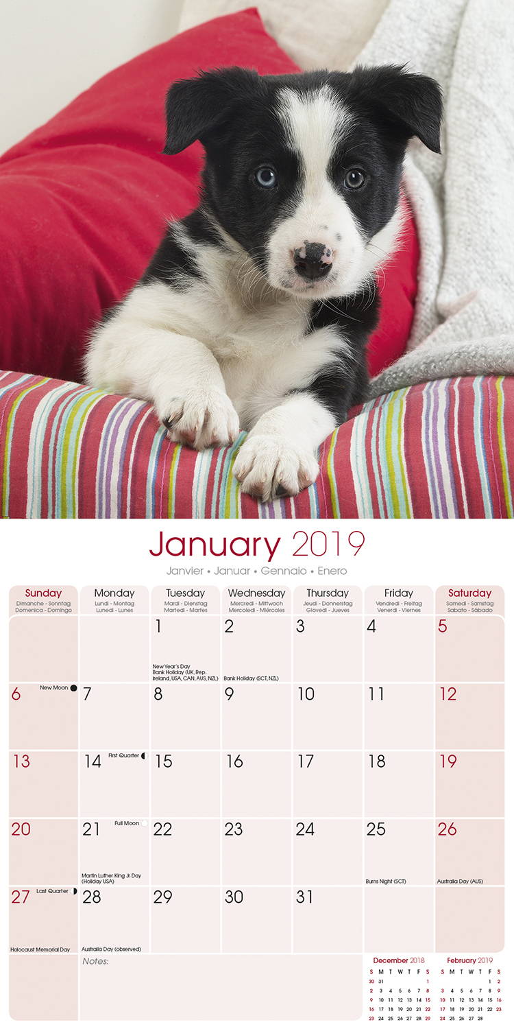 Puppies Calendar, Dog Breed Calendars MegaCalendars