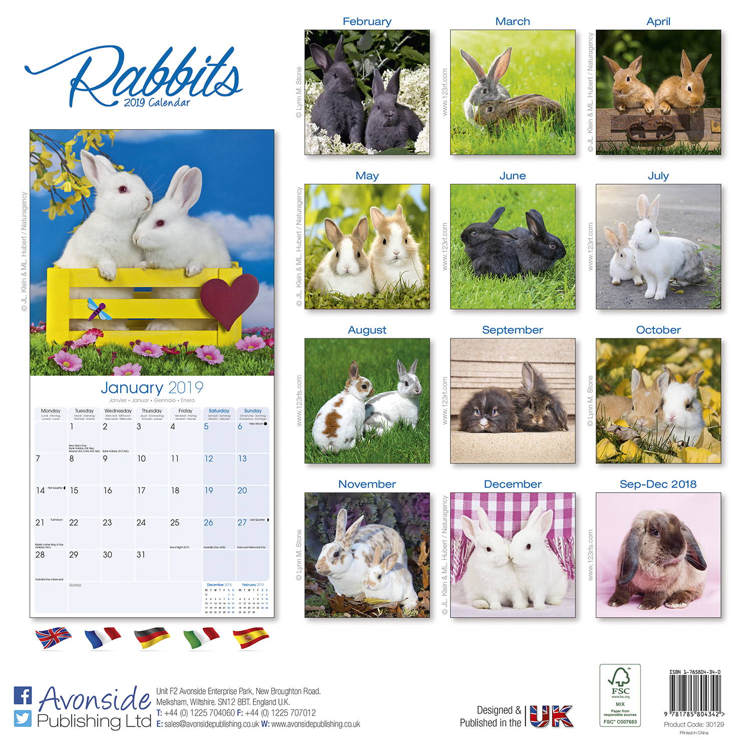 Rabbits Calendar, Animal Calendars MegaCalendars