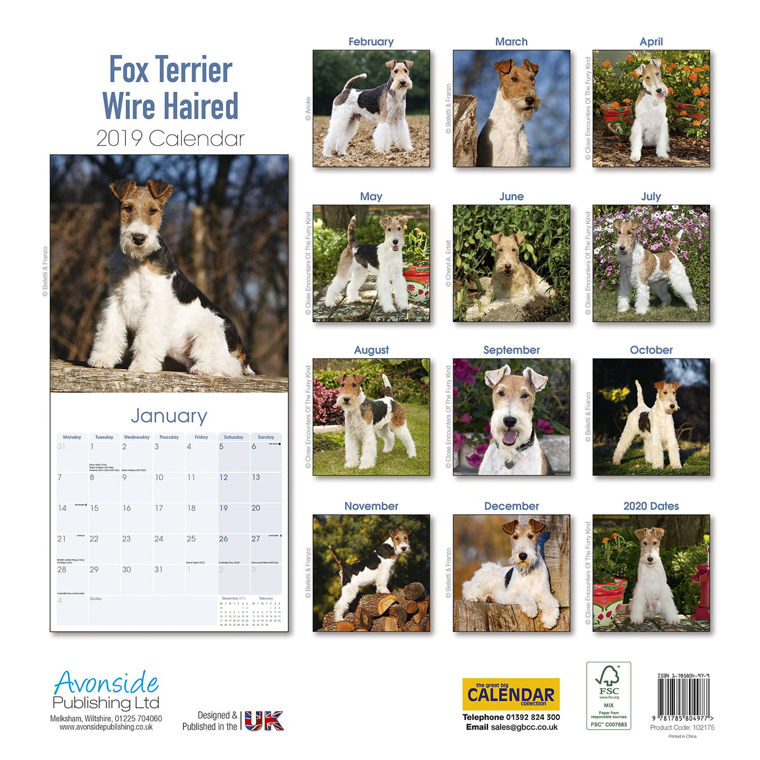 Fox Terrier (Wirehaired) Calendar, Dog Breed | MegaCalendars