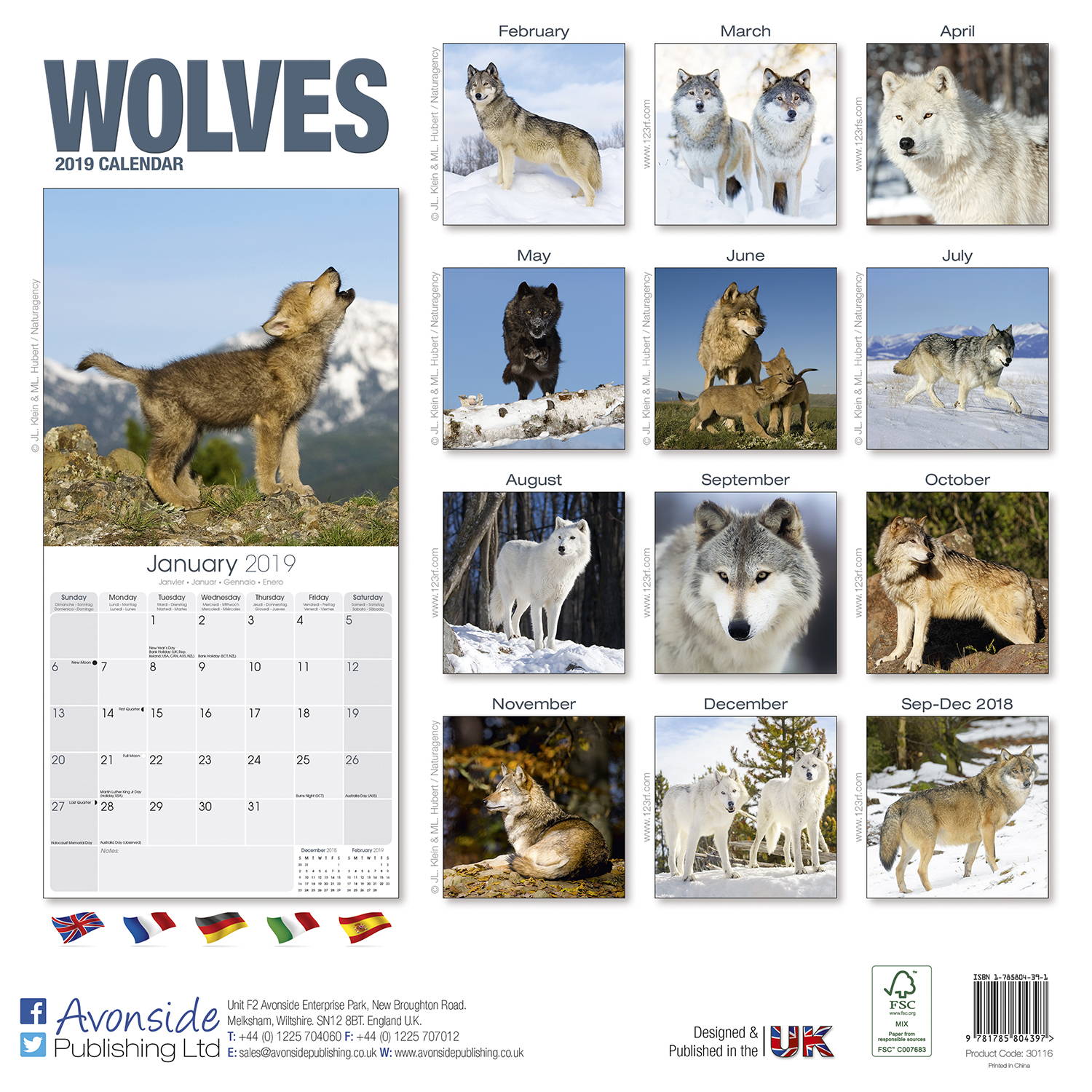 Wolves Calendar 2019 | Pet Prints Inc.