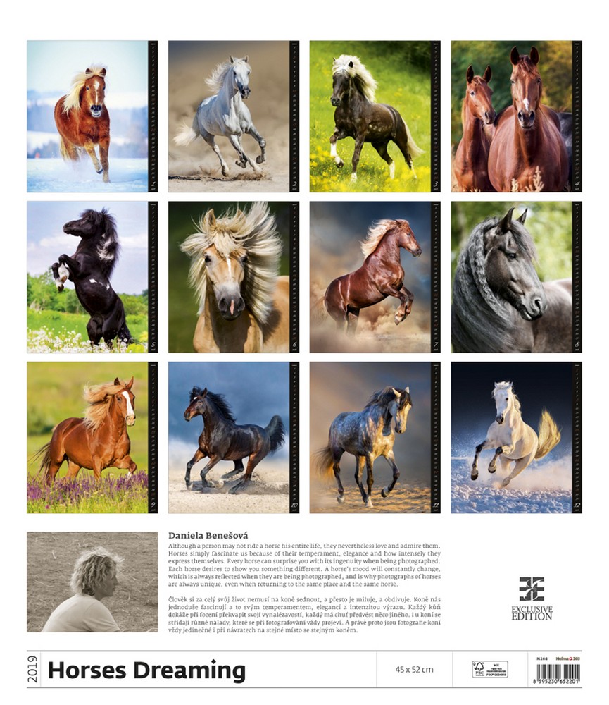 Horses Dreaming Calendar 2019 Horses