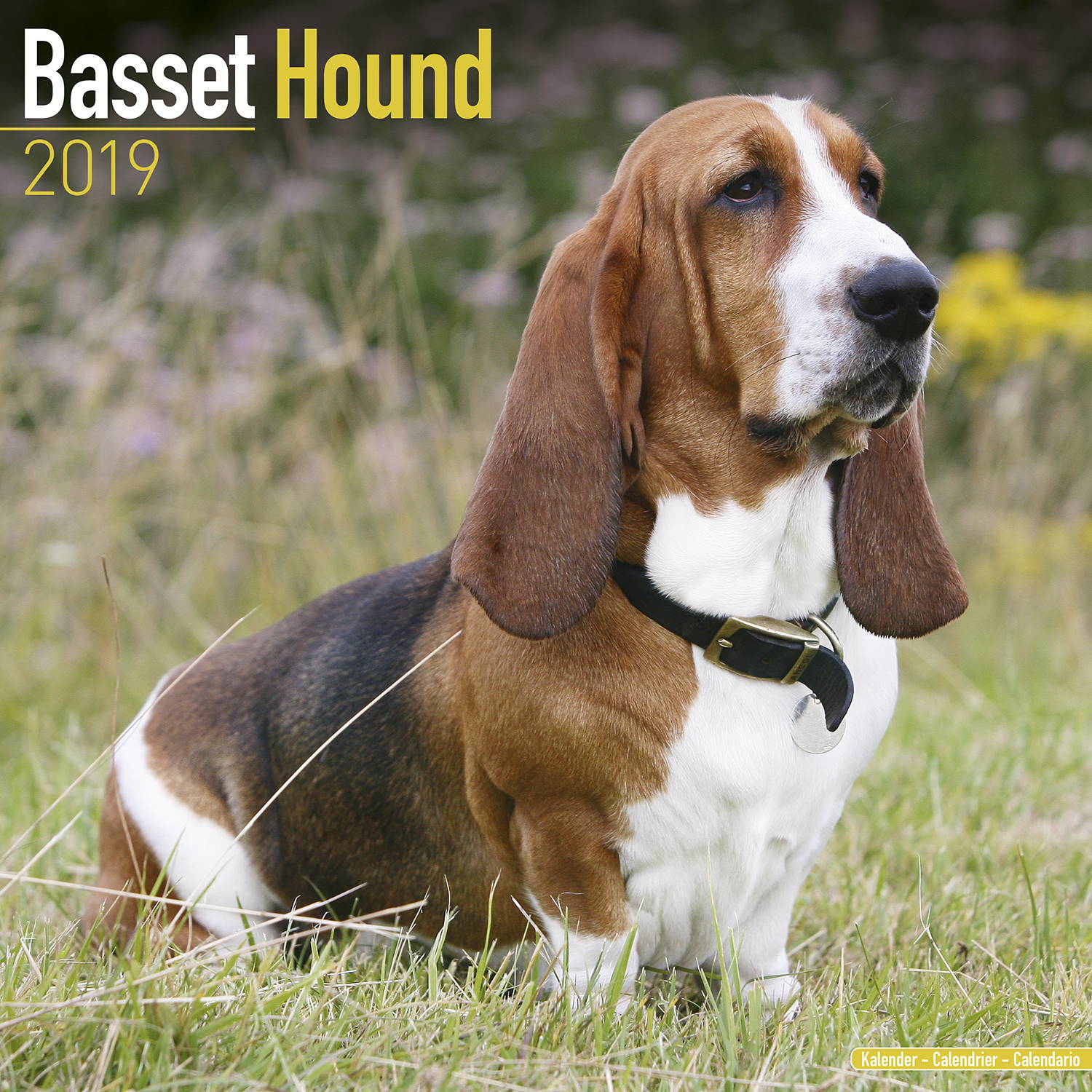 Basset Hound Calendar Dog Breed Calendars MegaCalendars