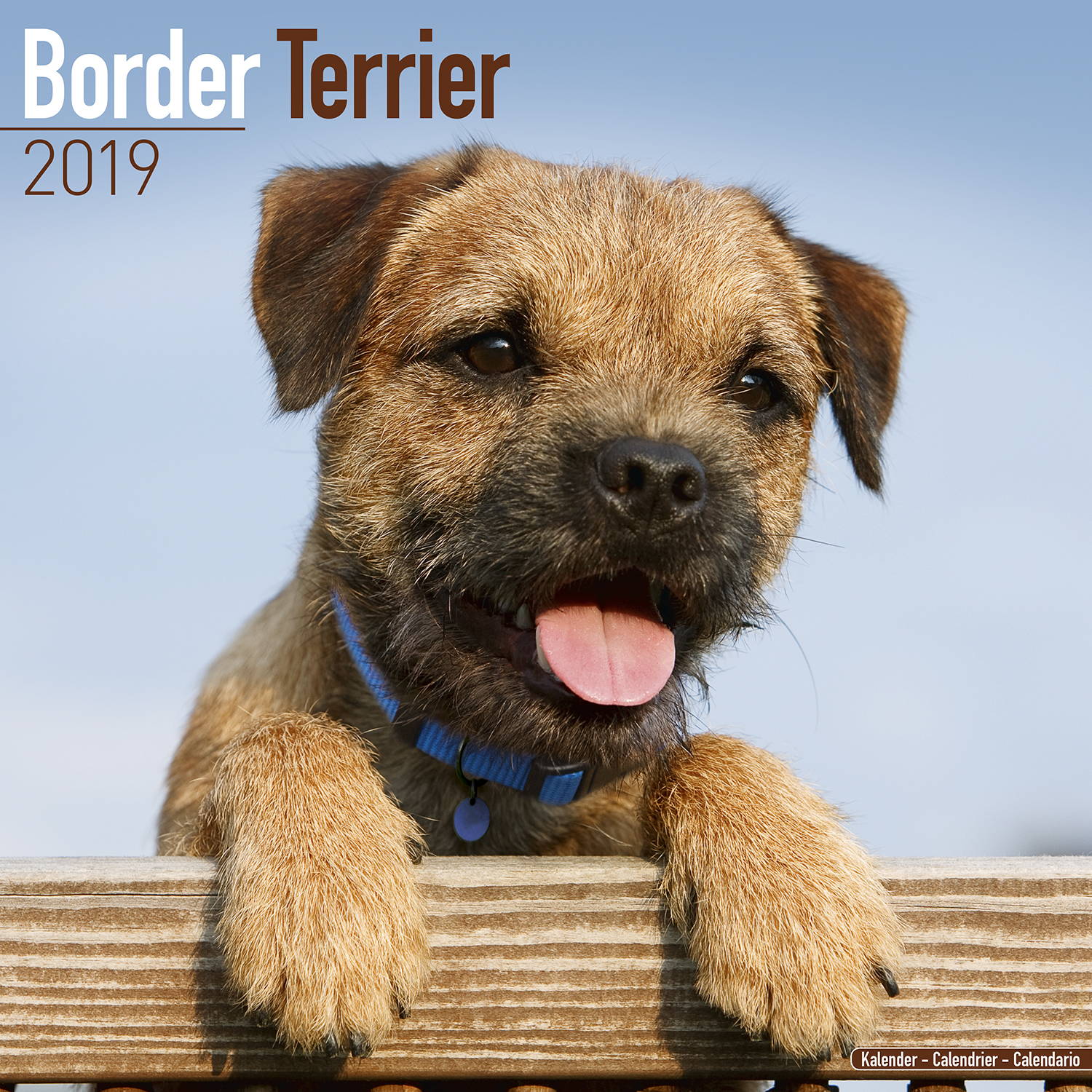 Border Terrier Calendar, Dog Breed Calendars MegaCalendars