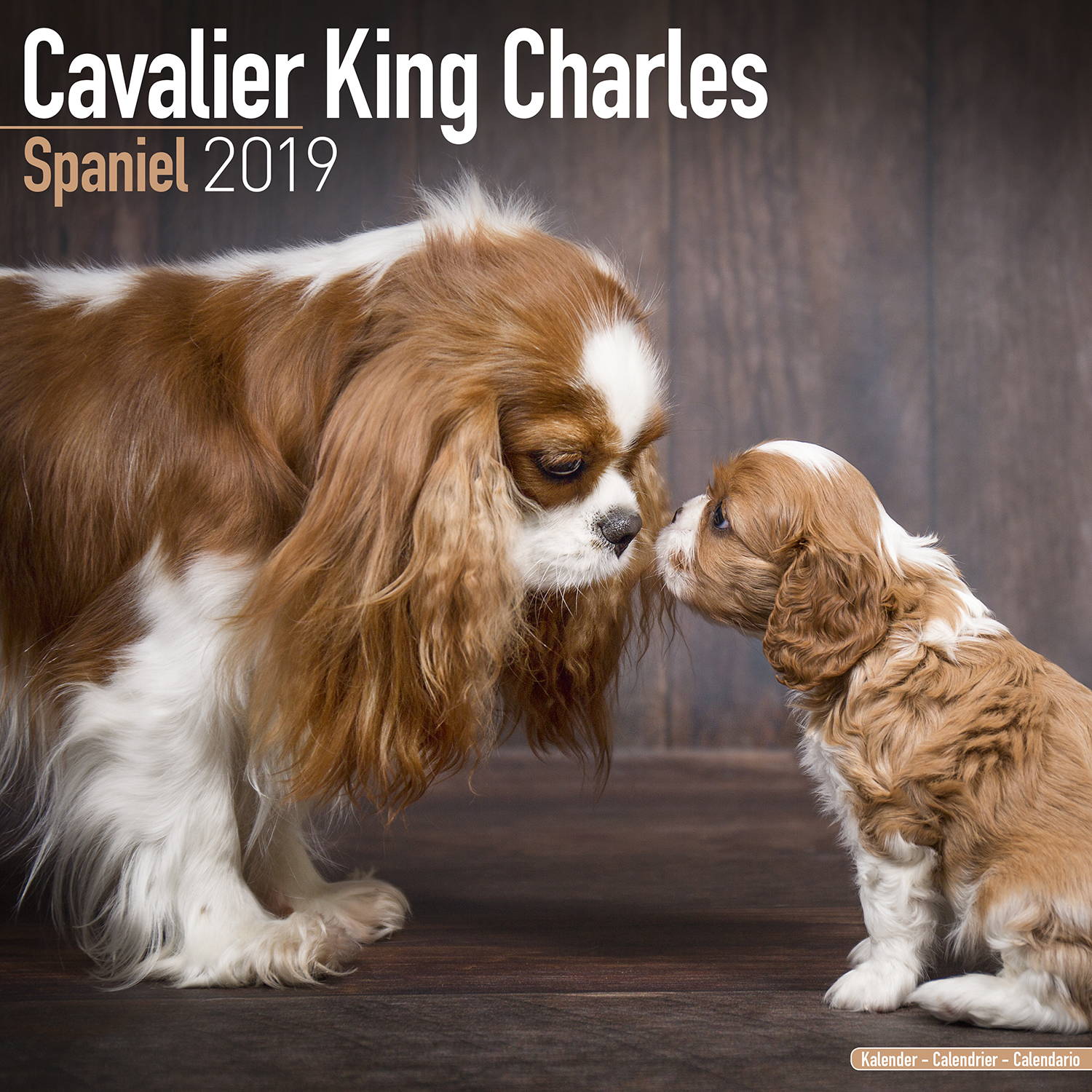 cavalier-king-charles-calendar-printable-calendar-blank
