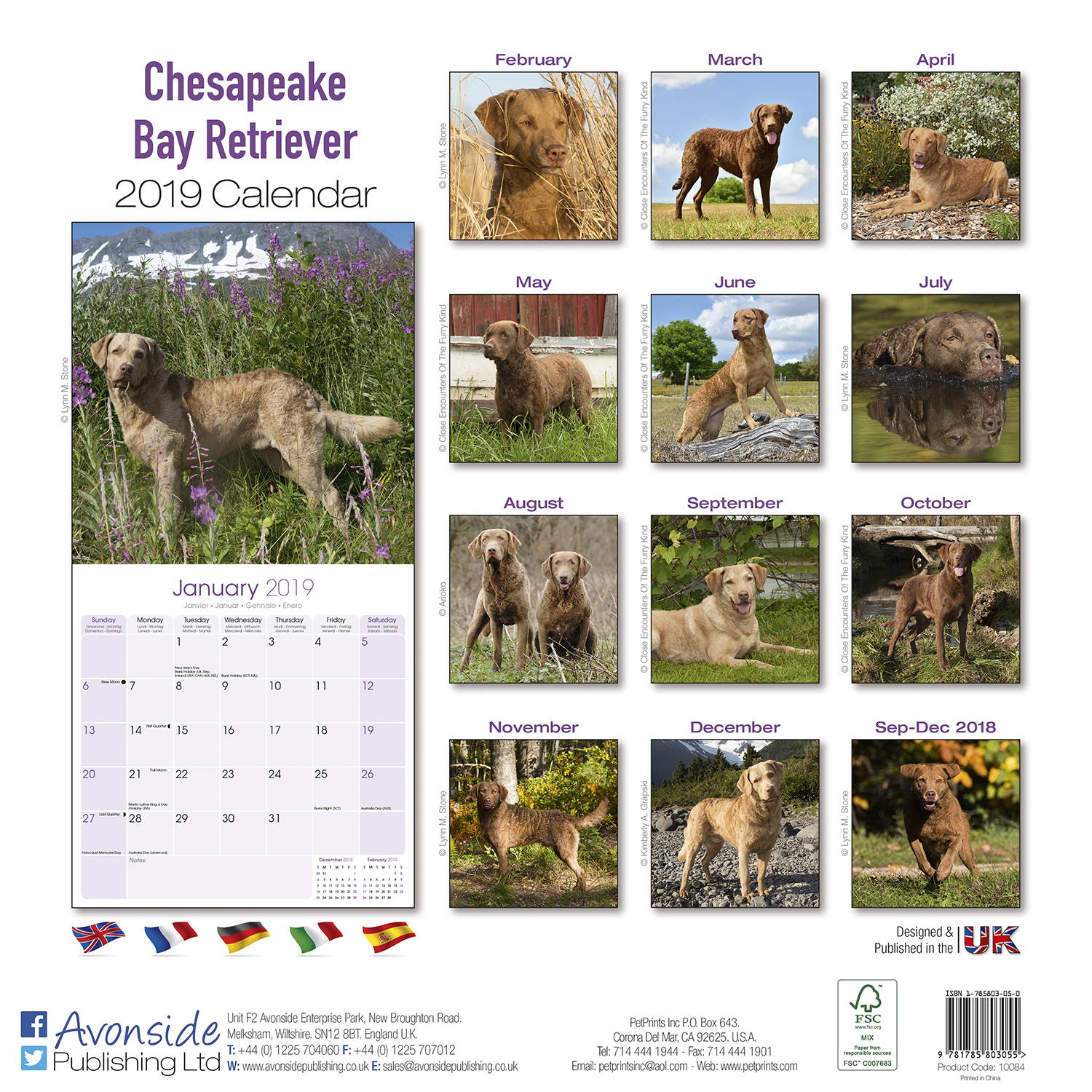 chesapeake-bay-ret-calendar-dog-breed-calendars-megacalendars