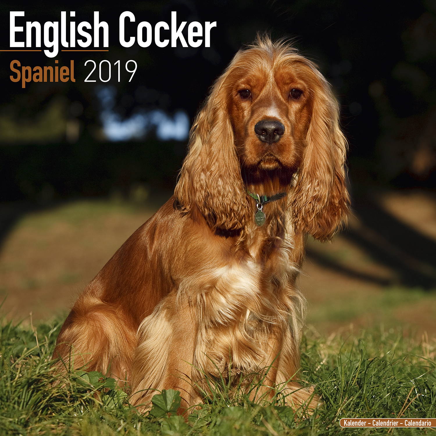 english-cocker-spaniel-calendar-2019-pet-prints-inc