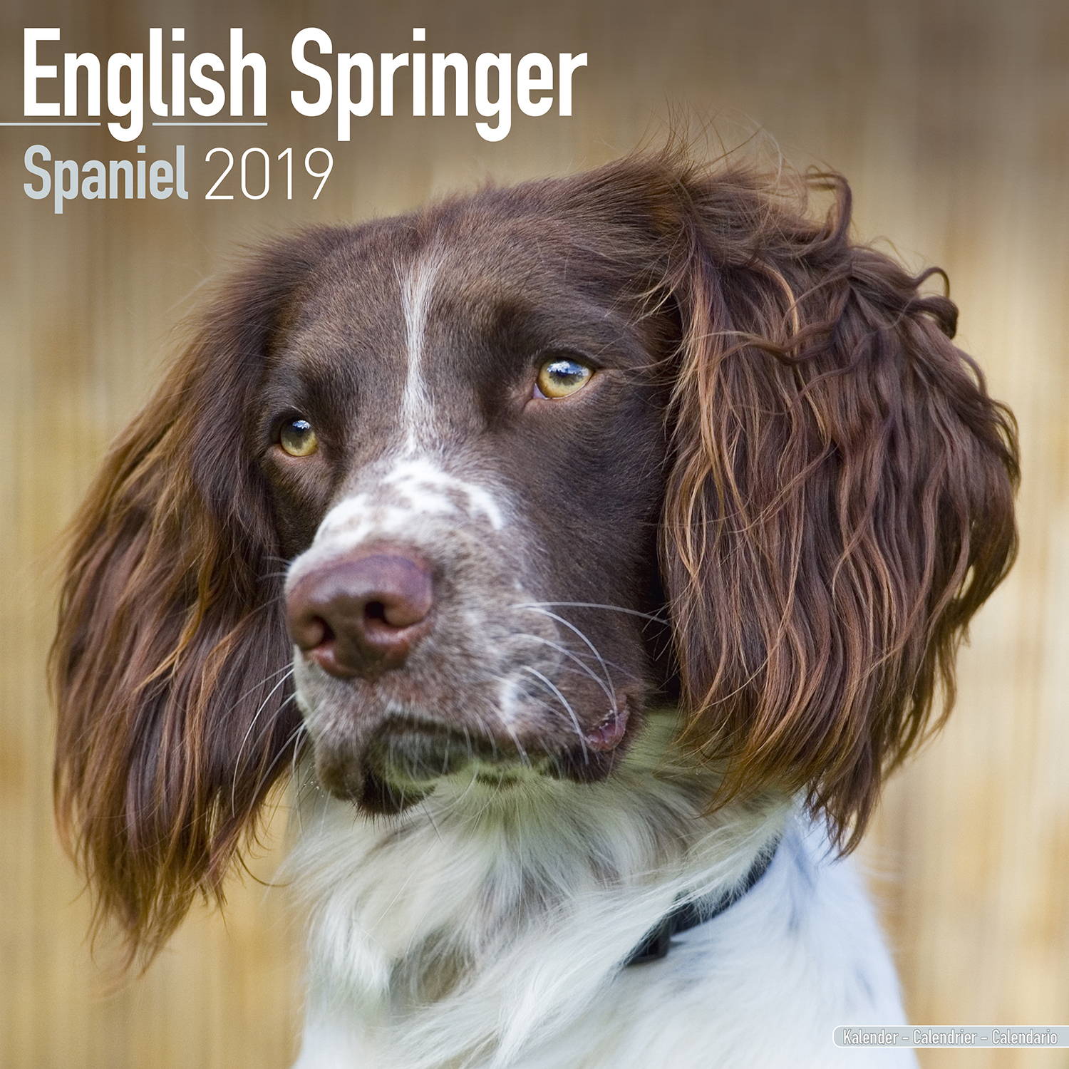 eng-springer-spaniel-euro-calendar-2019-pet-prints-inc
