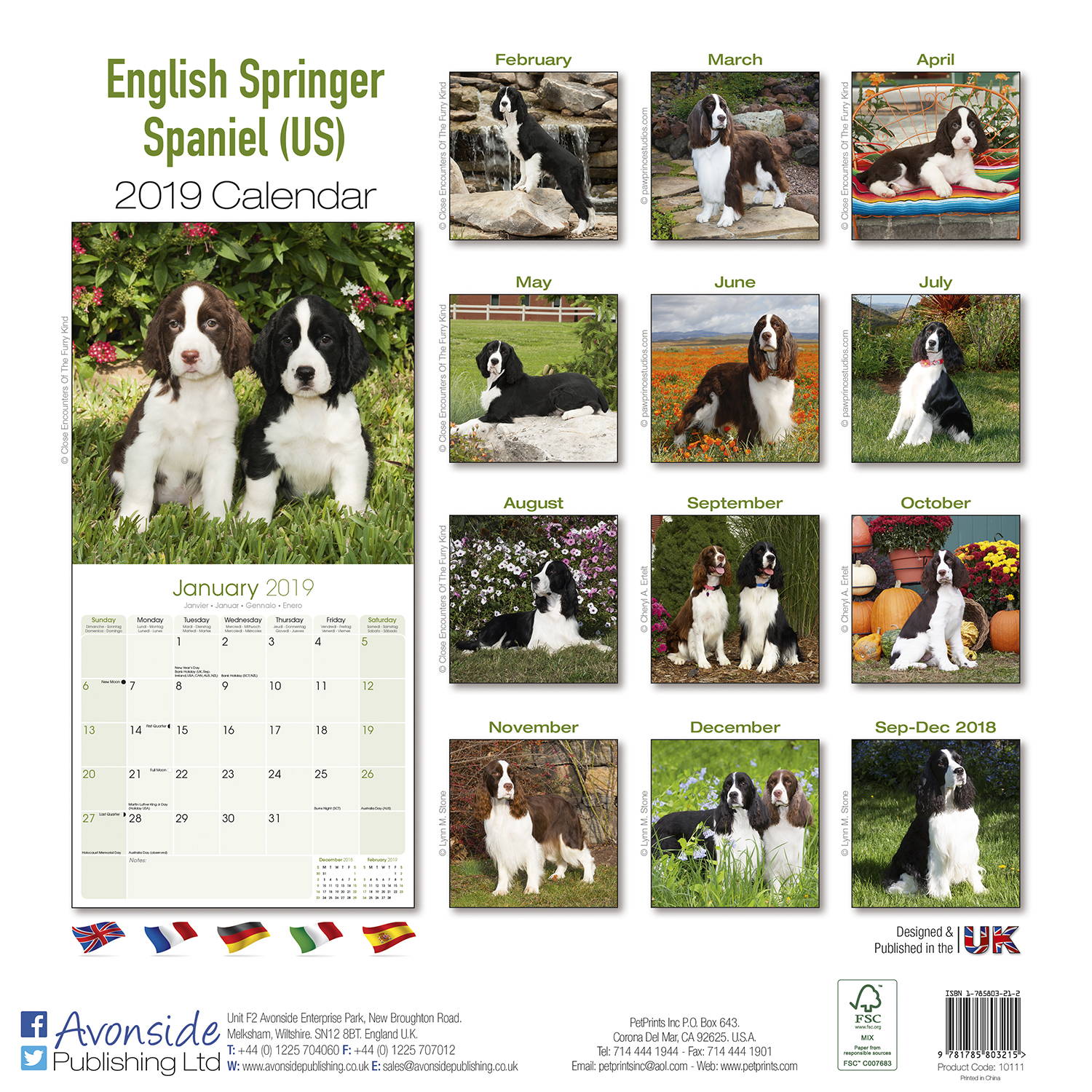 eng-springer-spaniel-us-calendar-dog-breed-megacalendars