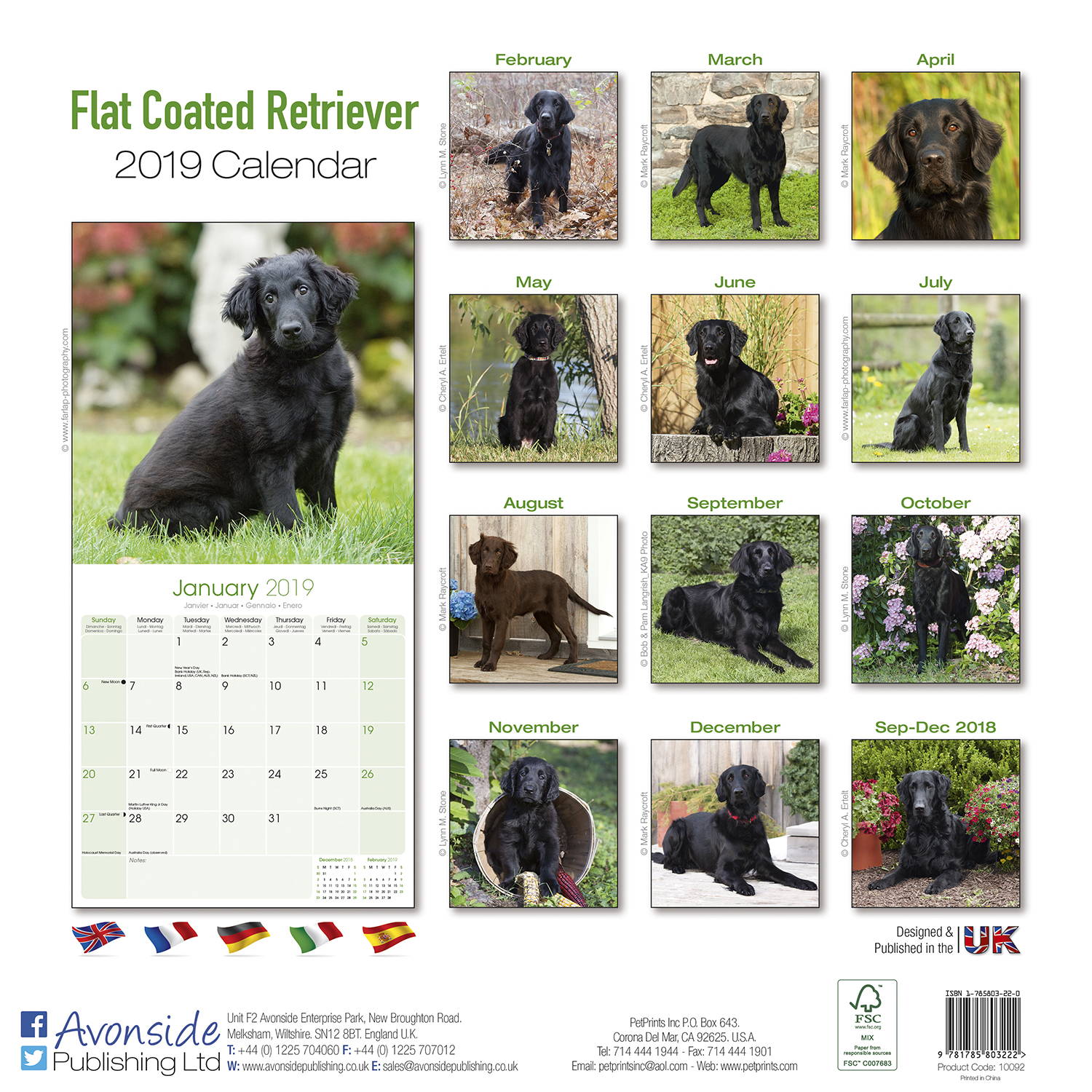 Flatcoated Retriever Calendar, Dog Breed MegaCalendars