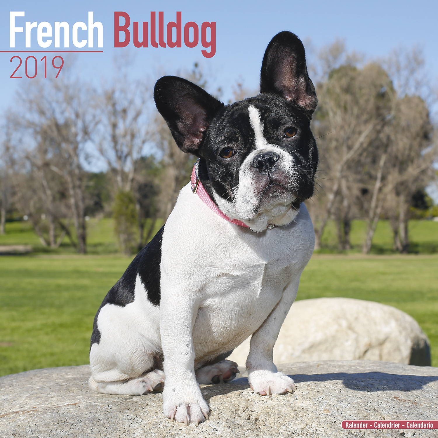 french-bulldog-calendar-2019-pet-prints-inc
