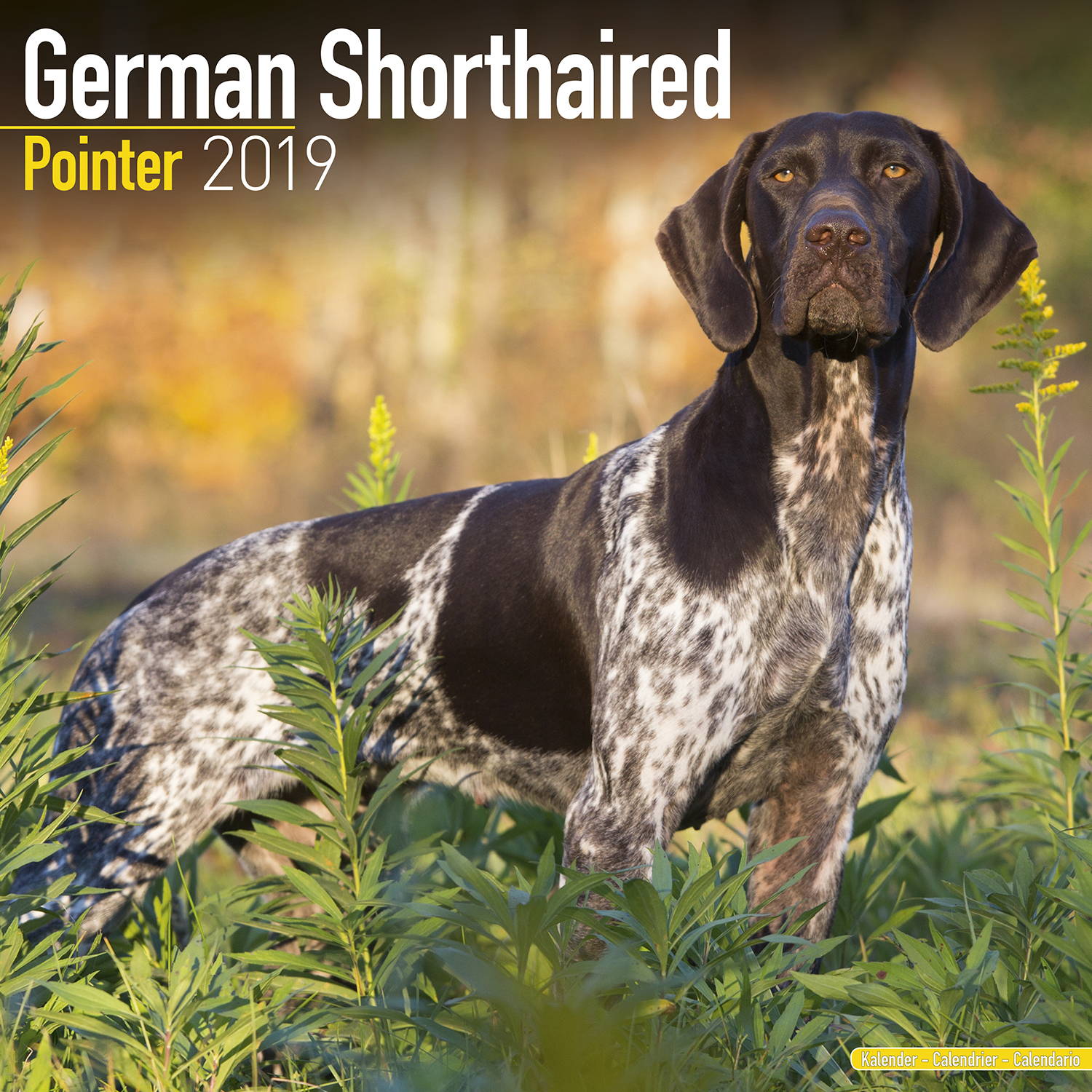 German Shorthair Pointer Calendar 2019 Pet Prints Inc