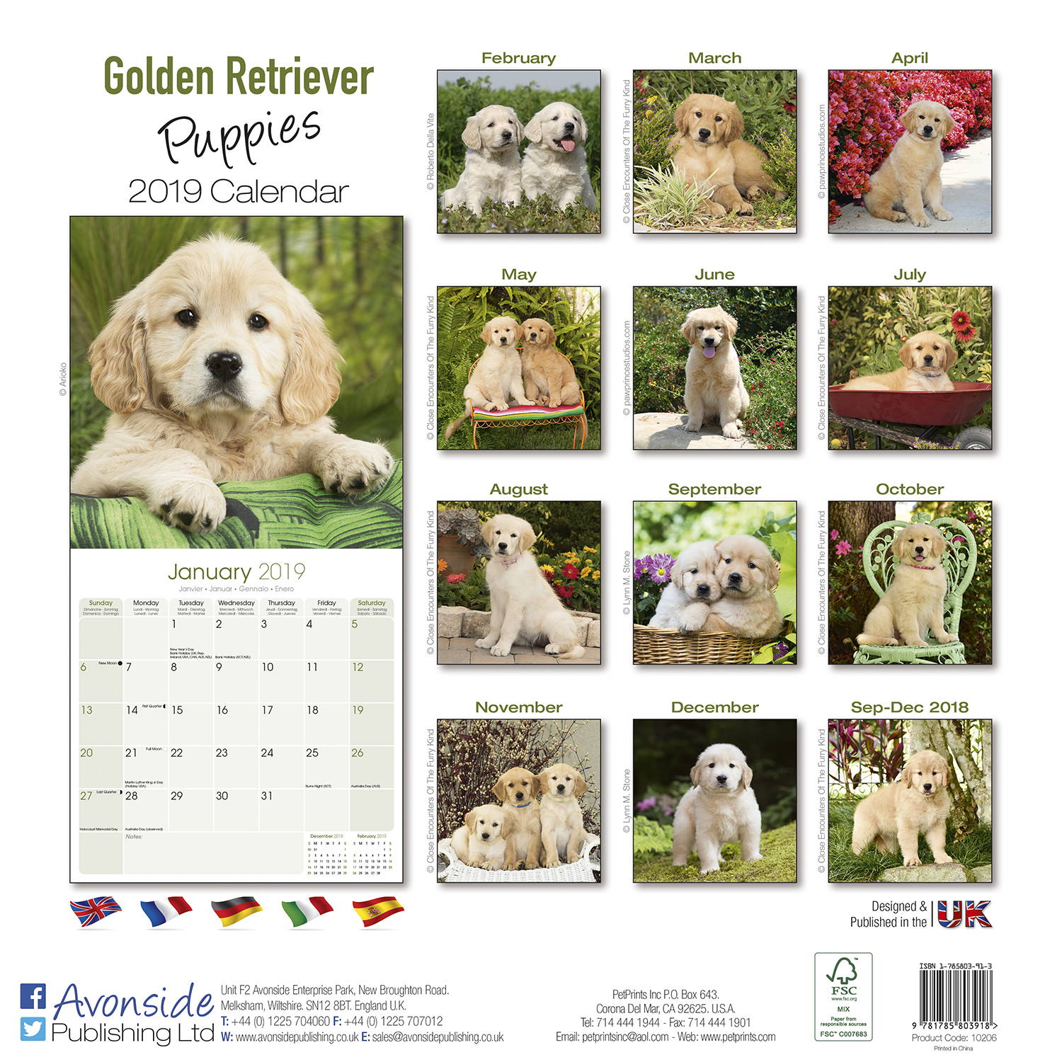 golden-retriever-puppies-calendar-dog-breed-pet-prints-inc