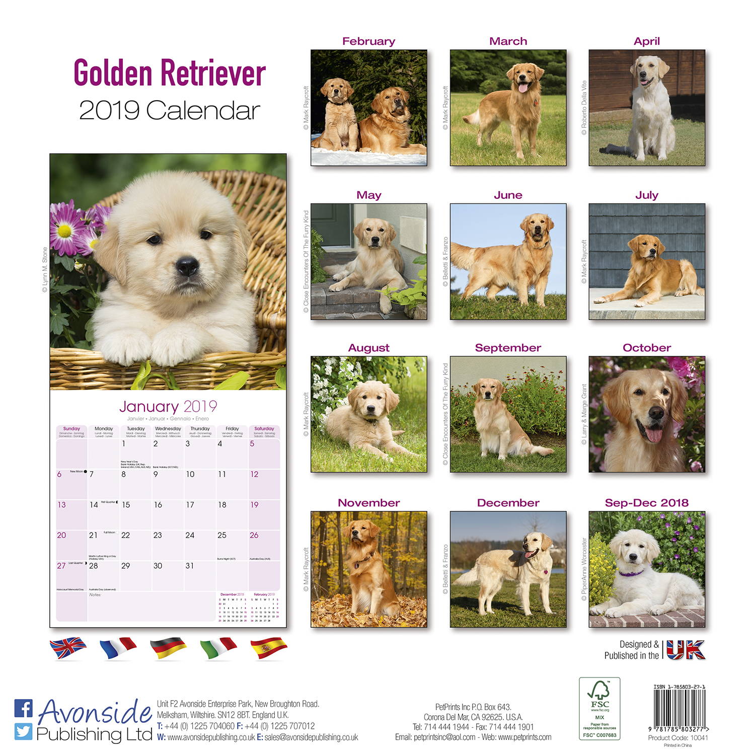 golden-retriever-calendar-dog-breed-calendars-megacalendars