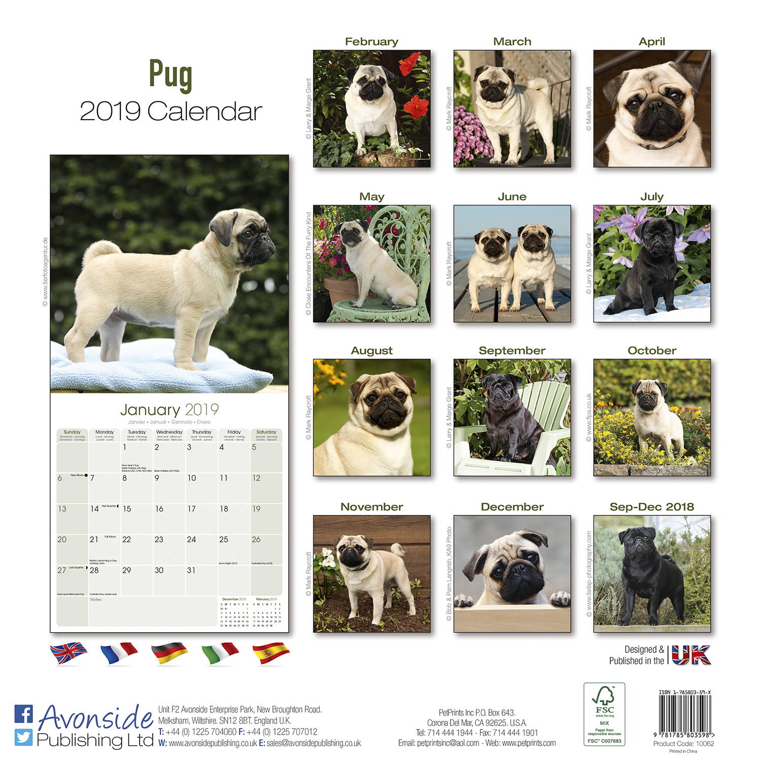 Pug Calendar, Dog Breed Calendars MegaCalendars