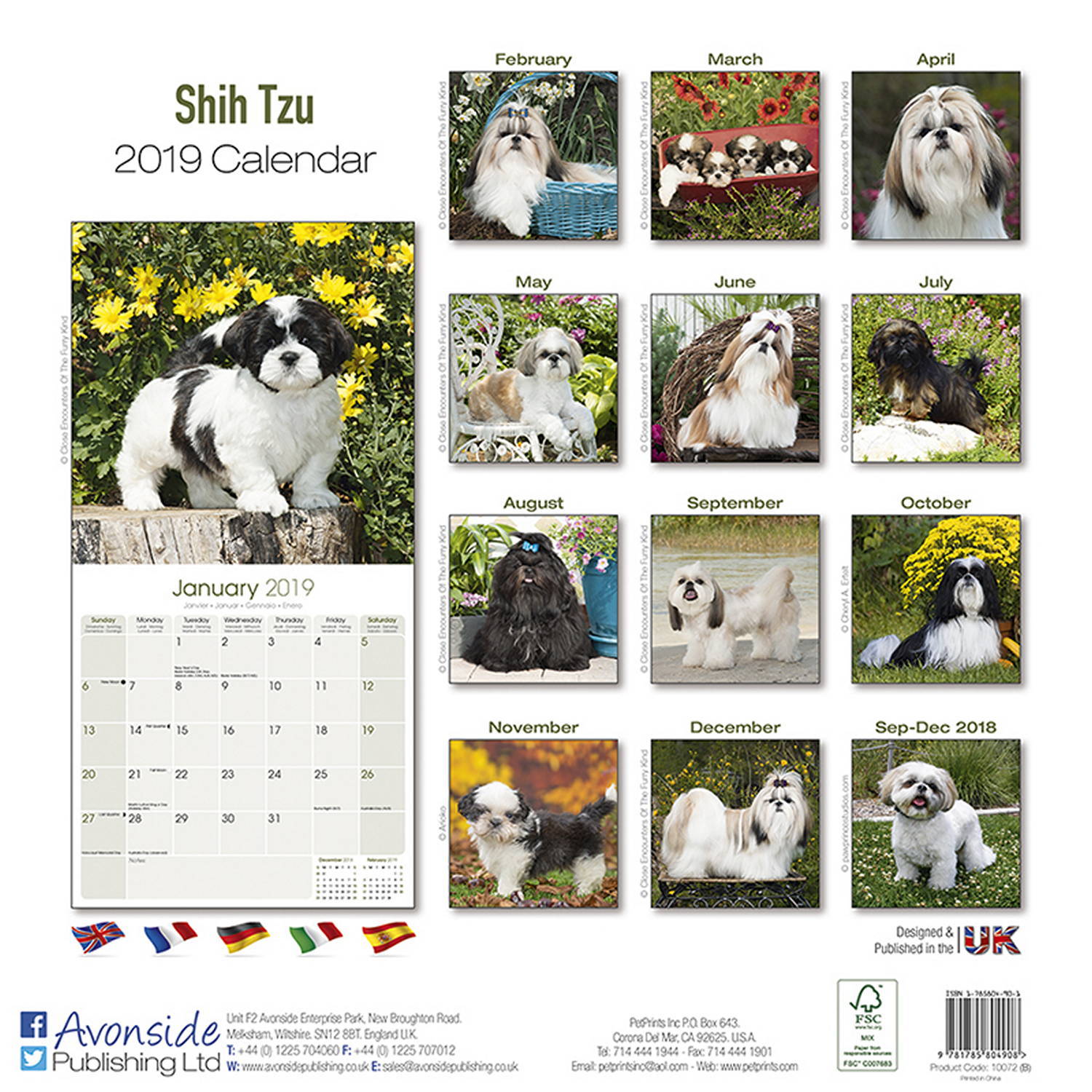 Shih Tzu Calendar Dog Breed Calendars MegaCalendars