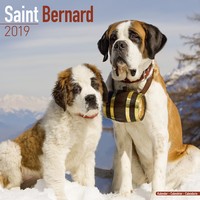 St. Bernard Calendars