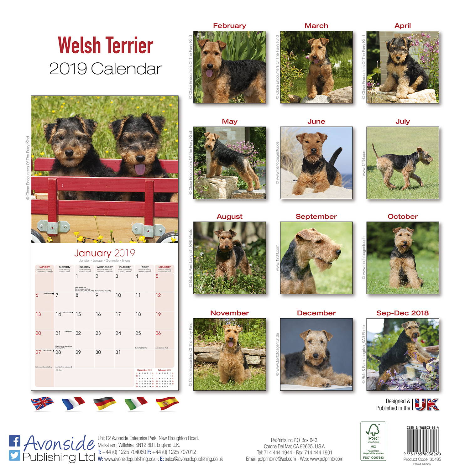 Welsh Terrier Calendar, Dog Breed Calendars MegaCalendars