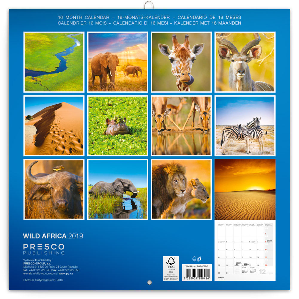 Wild Africa Calendar Animal Calendars